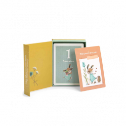 Carte Mes 12 Premiers Mois Trois Petits Lapins