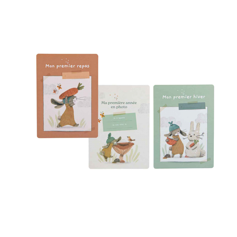 Carte Mes 12 Premiers Mois Trois Petits Lapins