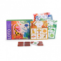 Loto Des Couleurs Les Toupitis