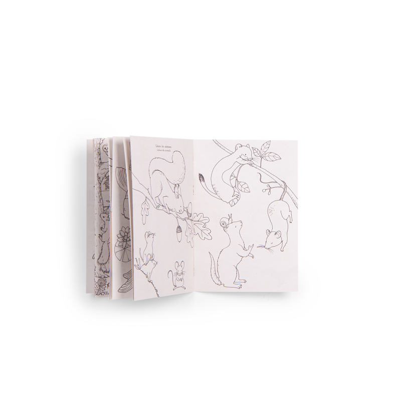 Coffret Découverte Animaux