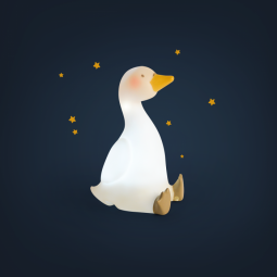 Veilleuse Cygne La Petie Ecole De Danse