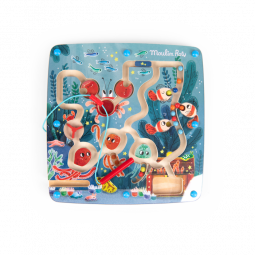 Ladyrinthe Magnétique Les Aventures De Paulie