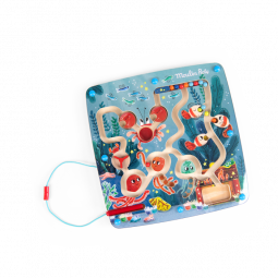 Ladyrinthe Magnétique Les Aventures De Paulie